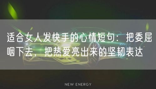适合女人发快手的心情短句：把委屈咽下去，把热爱亮出来的坚韧表达