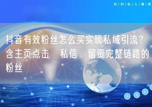 抖音有效粉丝怎么买实现私域引流？含主页点击→私信→留资完整链路的粉丝