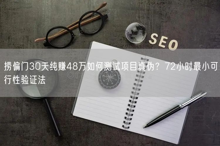 捞偏门30天纯赚48万如何测试项目真伪？72小时最小可行性验证法