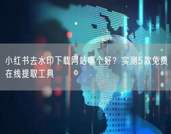 小红书去水印下载网站哪个好？实测5款免费在线提取工具