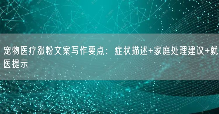 宠物医疗涨粉文案写作要点：症状描述+家庭处理建议+就医提示