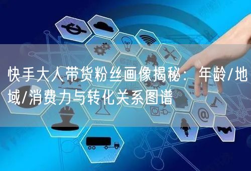 快手大人带货粉丝画像揭秘：年龄/地域/消费力与转化关系图谱