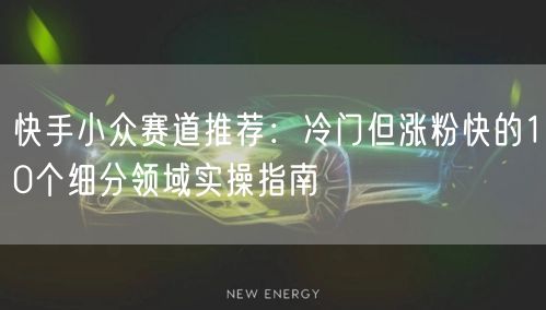 快手小众赛道推荐：冷门但涨粉快的10个细分领域实操指南